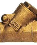 Heavy Duty Workhorse 2 1 2 Inch Bronze Swing Y Check Valve With Fnpt Threads showing a close-up of the bronze body.