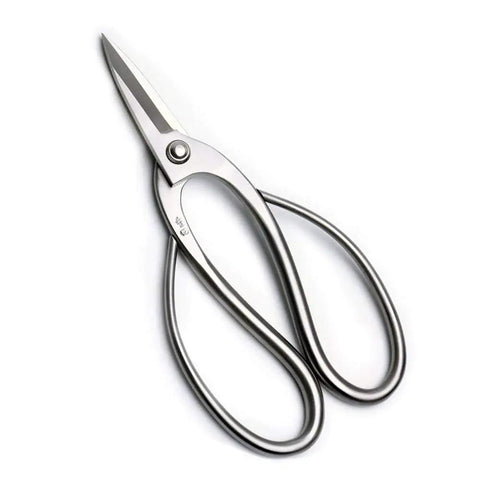 Six Piece Bonsai Tool Kit With Long Handle Scissors 8 Inch And 7 Inch, Top Pruning Scissors 7.85 Inch, stainless steel design