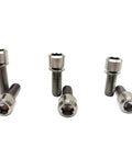 Rugged Aerospace Grade Titanium Bike Bolts M6X19mm Allen Hex Socket Set Of 10 Includes Washers showing a set of screws for bicycle hardware.