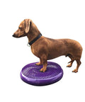 Brown dog standing on purple Balance Disc Cushion 14 Inch For Dogs With Pump And 2 Rehab Exercises Anti Burst Portable Dog Therapy Disk
