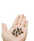 Hand holding miniature push buttons from 250 Piece 10 Value 6x6mm Tactile Push Button Switch Kit For Arduino And Breadboard Projects.