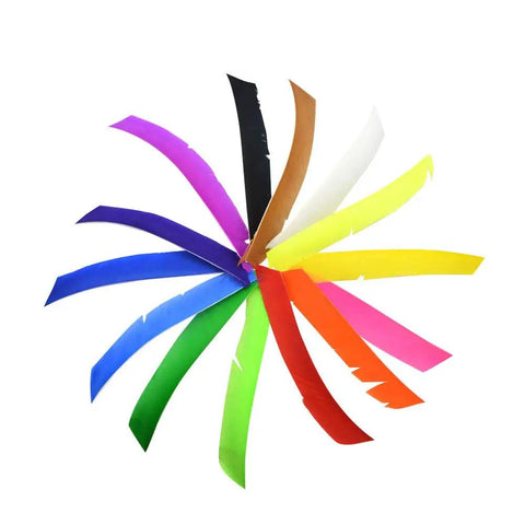 Assorted colored feathers in 50 pcs pro grade full length turkey feather arrow fletching set with spiral wrap, 7-10 inch right left wing