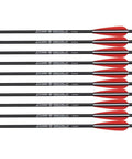 10 pack of 20 Inch Carbon Crossbow Bolts For Hunting, Beginner And Youth Friendly Arrows With 4 Inch Vanes, 100 Grain Tips