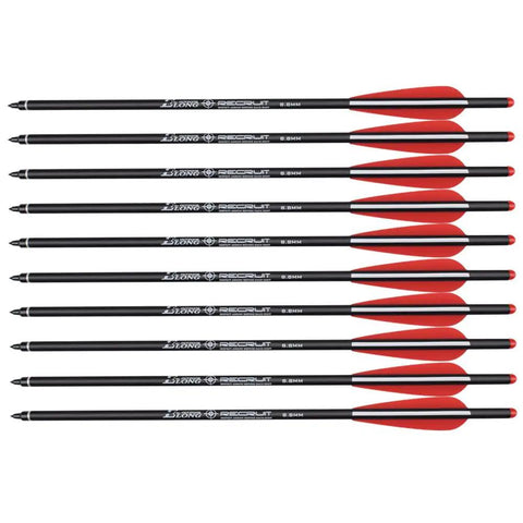 10 pack of 20 Inch Carbon Crossbow Bolts For Hunting, Beginner And Youth Friendly Arrows With 4 Inch Vanes, 100 Grain Tips