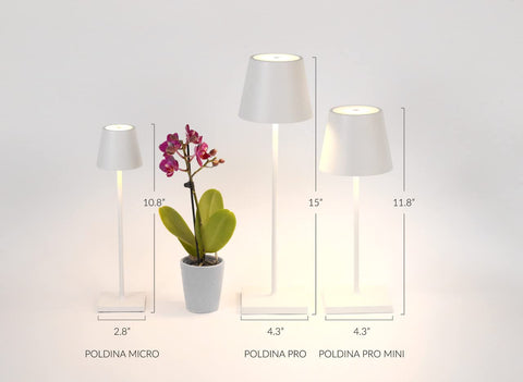Three white lamps in various sizes next to a plant, labeled Poldina Micro, Poldina Pro, and Poldina Pro Mini Rechargeable Wireless Table Lamp.