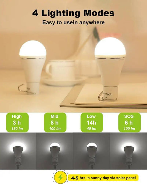 Portable Solar Light Bulb With Timer For Home And Chicken Coop showing 4 lighting modes with brightness levels