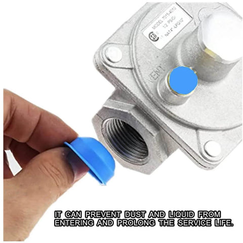 Adjustable natural gas regulator with dust cap for safe use