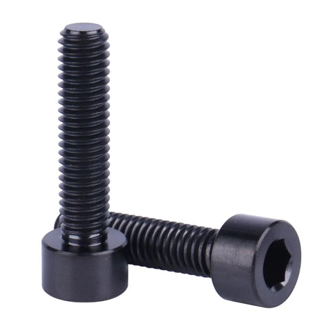 Two black titanium M6x25mm button head hex bolts with Allen socket