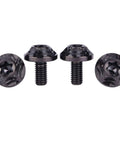 Beefy Titanium M5x10mm Torx Head Bolt T30 Set for Bikes and Motorcycles, 6AL-4V TC4 Grade 5 Titanium Alloy, black finish, 4 bolts