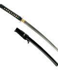 Wakizashi Iaito For Iaido Practice, 21 Inch Unsharpened Stainless Steel Blade With Bo Hi Fuller, sword and black scabbard displayed