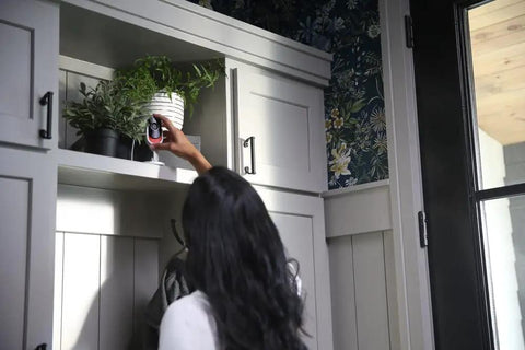 Person placing Cync Indoor Smart Camera With WiFi 1080p HD Night Vision on a shelf near plants for easy home surveillance.