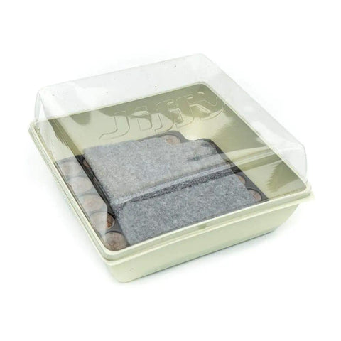 Self Watering Seed Starter Tray Kit With 68 Peat Pellets And Water Wicking Mat 2 Pack Seedling Trays under a clear lid