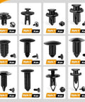 Automotive bumper retainer clip set, 240 black plastic push rivets, 12 styles (20 pcs each)