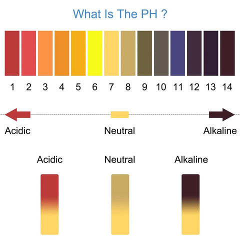 PH Test Strips 1 To 14 Litmus Paper Kit For Home Lab Water Soil Aquariums Soap Testing 800 Strips In 10 Pack With Quick Color Chart