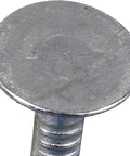 Premium Electro-Galvanized Roofing Nails 2-1/2 Inch With Broad Flat Head for insulation on wood decking, detailed view of nail head.
