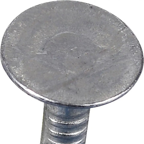 Premium Electro-Galvanized Roofing Nails 2-1/2 Inch With Broad Flat Head for insulation on wood decking, detailed view of nail head.