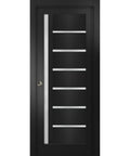 Quadro 4088 Sliding Interior Door Kit With Black Matte Frosted Glass Pocket Door 36 By 96 Inches Solid MDF Core Front View