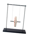 Metal Pendulum Swinging Physics Kit With Maxwell Wheel For Education, freestanding with white wheel and metal frame.