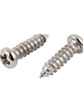 Pro Grade M2.5 X 10mm Stainless Steel Cross Phillips Pan Head Self Tapping Screws 50 Pack, showcasing two screws.