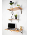 Premium 304 Stainless Steel Folding Shelf Brackets Triangle Wall Mounts supporting wooden shelves with plants and lamp.