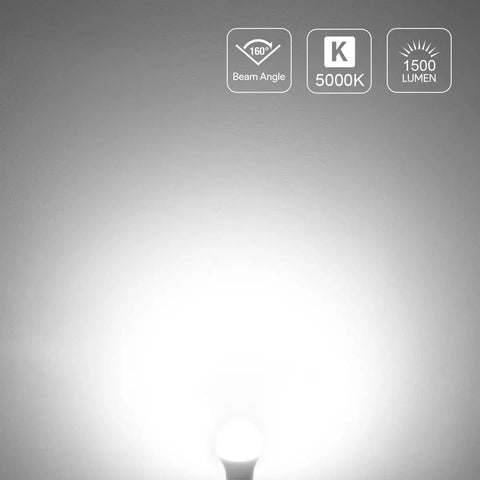 100W Equivalent LED Light Bulbs, 14W, 1500 Lumens, 5000K Daylight White illuminating a wall, showcasing beam angle and brightness.