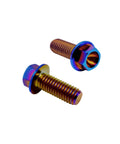 RISON titanium flanged hex head bolts, two shown, M6x1.0x13mm, burnt blue finish