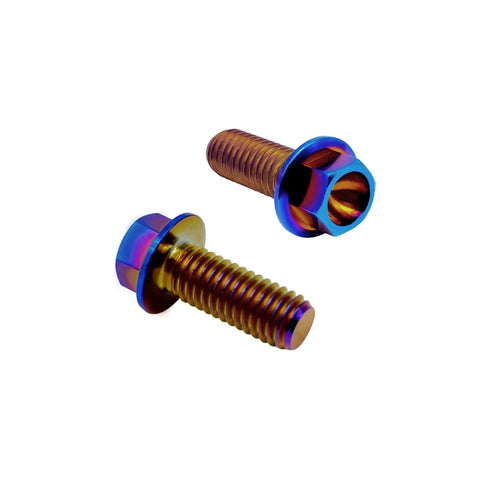 RISON titanium flanged hex head bolts, two shown, M6x1.0x13mm, burnt blue finish