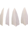50 Pcs Turkey Feather Arrow Fletching Vanes, 3 Inch Right Wing Real Feathers For Stable Flight, White Color Pack for Archery