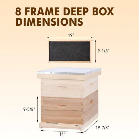 8 Frame Bee Hive Starter Kit With Deep Brood Box And Medium Super Includes Beehive Frames And Foundation Sheets Easy Assembly