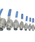 Assorted stainless steel ball valves, including 1/2 inch stainless ball valve, with blue handles displayed in a row.