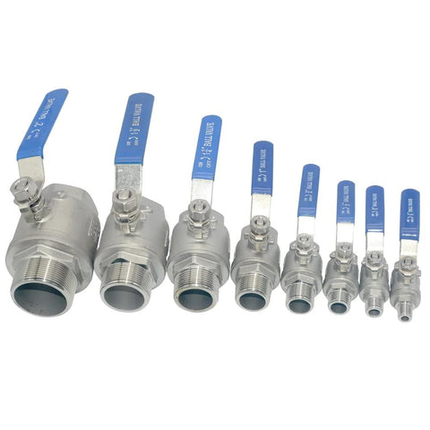 Assorted stainless steel ball valves, including 1/2 inch stainless ball valve, with blue handles displayed in a row.