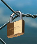 Brass padlock on wire fence, part of Brass Padlock Set Of 16 Keyed Alike With 32 Keys, 2.6 inch shackle, weatherproof