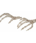 Left And Right Skeleton Hands 8 Inch Spooky Bones Halloween Decor For Indoor Or Covered Outdoor Displays Realistic Bone Look All Weather Plastic Part Of Crazy Bonez Skeleton Line For Year Round Halloween Vibe. Top view of two realistic spooky skeleton hands.