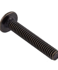 Top Shelf Pack Of Twenty Knockout Antique Brass Truss Head Machine Screws Size Eight Thirty Two One Quarter Inch Long For Sweet Hardware Projects And Dresser Drawer Pulls Ready To Mount And Grips Damn Tight screw shown from side angle on a white background.