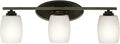 Eileen 24 Inch Three Light Vanity Light With Satin Etched Cased Opal Glass In Olde Bronze For Bathrooms And Powder Rooms