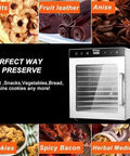 Heavy Duty Commercial Food Dehydrator And Freeze Dryer Combo, 10 Tray 1000W Electric Jerky Machine with snacks and treats displayed.