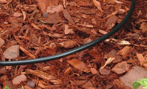 Black 1/4-inch drip irrigation tubing on mulch bed
