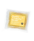 100 Percent Organic SCOBY Kombucha Starter Kit For Home Brew Sessions With Live Culture And Starter Liquid in sealed packaging