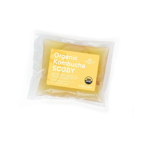 100 Percent Organic SCOBY Kombucha Starter Kit For Home Brew Sessions With Live Culture And Starter Liquid in sealed packaging