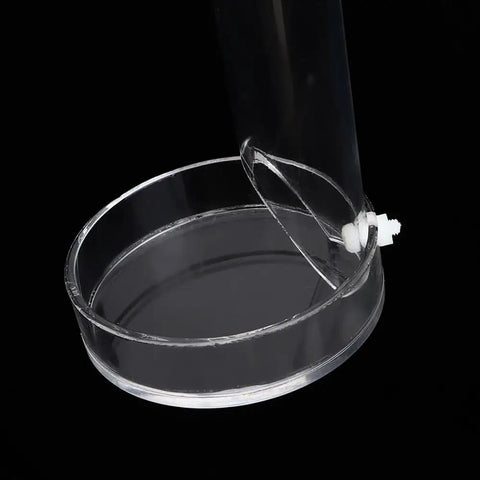 Crisp Acrylic Aquarium Feeder Tray, 9.84 Inch Leak Proof Fish Tank Feeding Tube secured with suction mount for easy feeding.