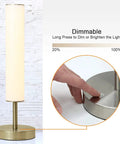 Chill Minimalist LED Cylinder Lamp With USB Charge Port 360 Degree Glow Three Color Temperatures Dimmable Desk Or Night Lamp in dimming mode