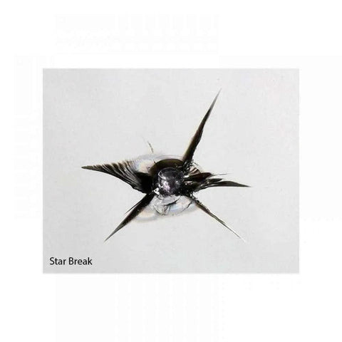 Star break chip on windshield surface for DIY Glass Windshield Repair Kit With Resin Based Formula For Chips And Cracks Under 1 Inch And Cracks Up To 12 Inches Long No Fuss Easy To Use Durable Solution That Minimizes Appearance Stops Spread And Restores Clarity example.
