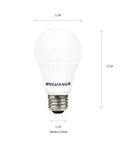 LED Light Bulb A19 6W Replacement For 40W Incandescent, Frosted Finish, Daylight 450 Lumens, Medium Screw Base, front view