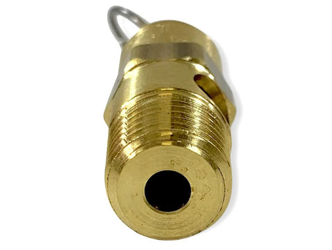 Brass 1/4 in NPT economy soft-seat safety pressure relief valve, front view
