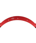 Heavy Duty Aluminum Alloy Router Jig For R250 Radius Rounded Edges showing a red R250 arc for woodworking precision.