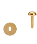 Brass fasteners for Dark Green PVC Fence Slats For Privacy 1.8 Inch By 246 Feet Privacy Fence Plastic Strips displayed separately.