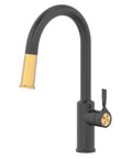 Torak Filter Faucet in matte black with brushed brass accents, modern kitchen sink design, high-arc spout.