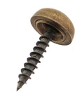 Built Tough Pure Brass Decorative Screws With Smooth Thumbtack Heads For Wall Art And Glass Mounting 13Mm view of screw with dome cap.