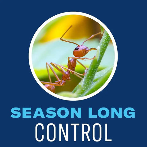Close-up of ant on plant with text 'Season Long Control,' related to Complete Lawn Insect Killer Granules For Outdoor Use Kills Ants Fleas Ticks Grubs And More On Contact With Season Long Pest Control Treats Up To 25,000 Square Feet In A 20 Pound Bag.