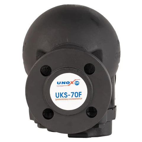 Front view of DN25 Ball Float Steam Trap With Thermostatic Control ANSI Class 150 Flanged Rugged GG Iron Body and GGG Cover